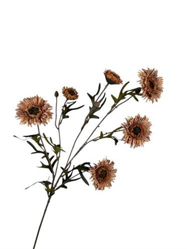 RC Zonnebloemsteel l80cm dk cofee