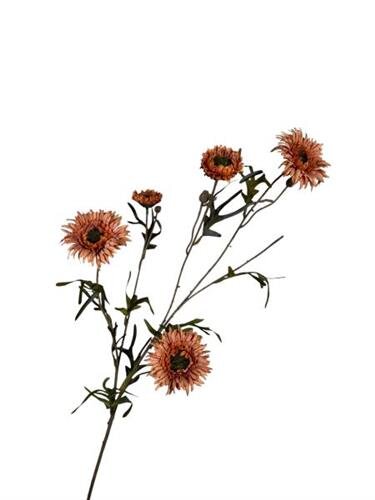 RC Zonnebloemsteel l80cm oranje