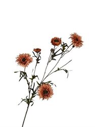 RC Zonnebloemsteel l80cm oranje