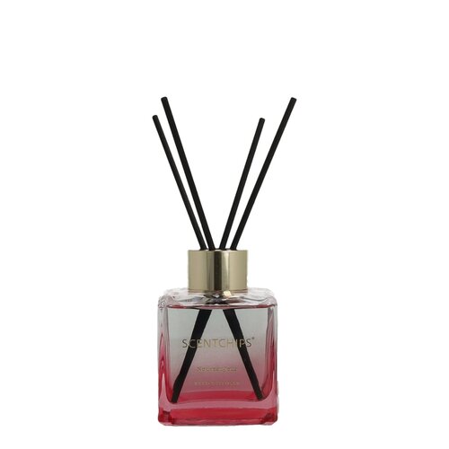Scentchips Reed diffuser Cube Nouveau Jour 100ml
