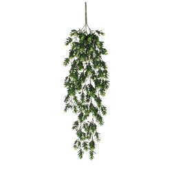 Mica Schefflera hangend groen