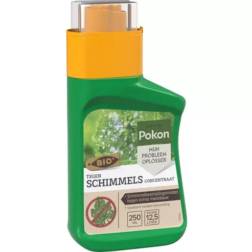 Schimmelbestrijder conc 250ml