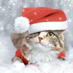 Duni Servetten Kitten Christmas