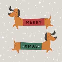 Duni Servetten Merry Dachshund