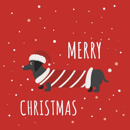 Duni Servetten Dachshund