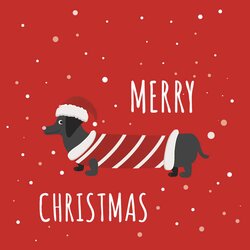 Duni Servetten Dachshund