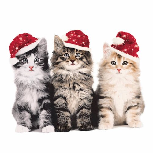 Duni Servetten Xmas Cats