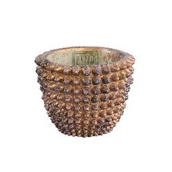 PTMD Settlers Gold cement pot with spikes round S