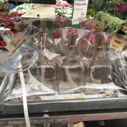 Sfeer Arrangement