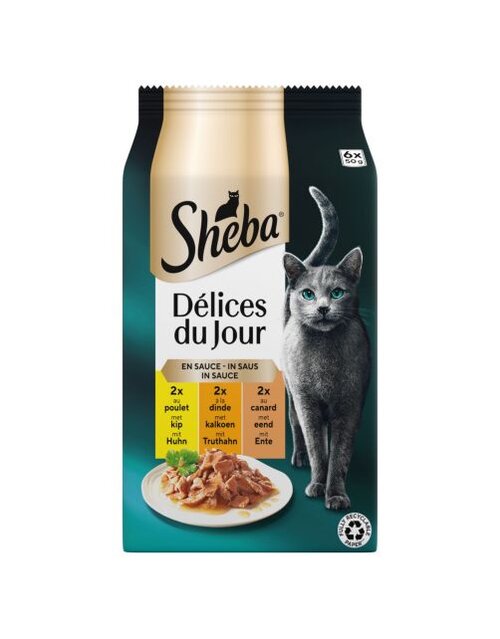 Sheba ddj p sau gvglteslmp 6x50g