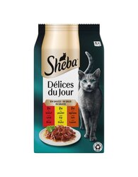 Sheba ddj p sau traiteurslmp 6x50g
