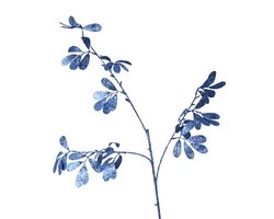 Decoris Spray pe