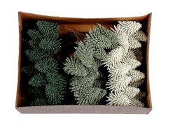 Steker bos boom nobilis grn/wit 6st