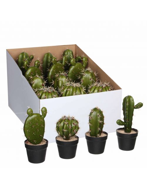 Cactus in pot groen 4 assorti display - h21xd9cm
