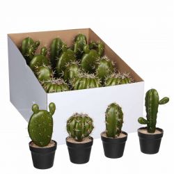 Cactus in pot groen 4 assorti display - h21xd9cm