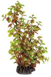 Superfish Art plant 25cm rotala