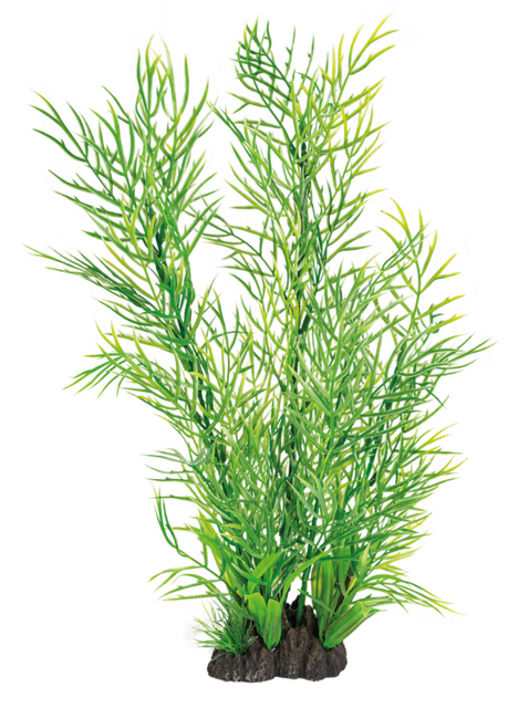 Superfish Art plant 40cm ceratopteris
