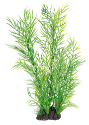 Superfish Art plant 40cm ceratopteris