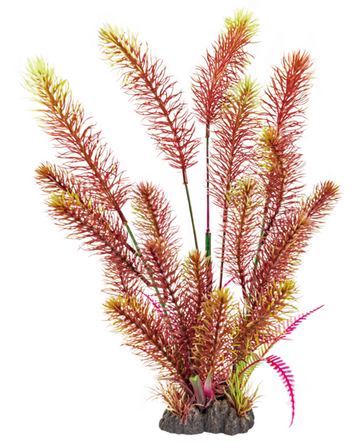 Superfish Art plant 40cm myriophyllum red