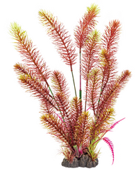 Superfish Art plant 40cm myriophyllum red