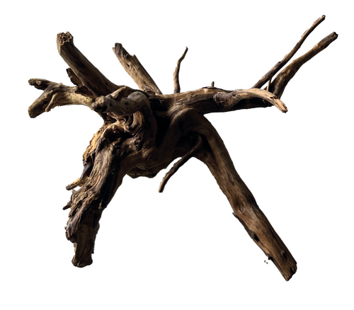 SUperfish Black spiderwood small