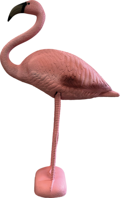 Superfish Deco vogel flamingo