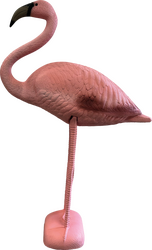 Superfish Deco vogel flamingo
