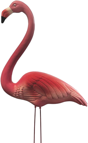 Superfish Deco vogel flamingo s