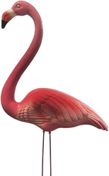 Superfish Deco vogel flamingo s