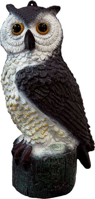 Superfish Deco vogel kleine uil