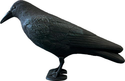 Superfish Deco vogel kraai