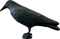 Superfish Deco vogel kraai