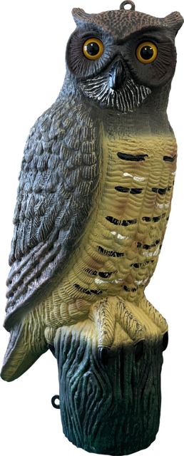 Superfish Deco vogel uil