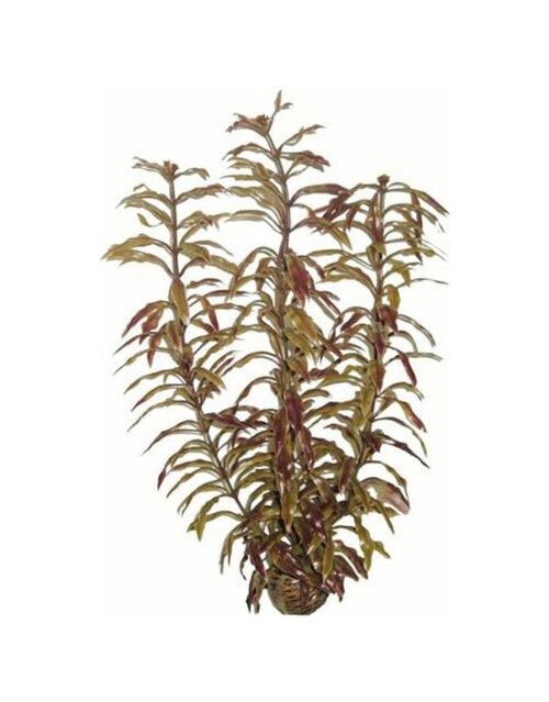 sUPERFISH Easy plants hoog 30cm nr. 3