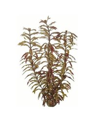 sUPERFISH Easy plants hoog 30cm nr. 3