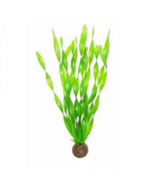Sf Easy Plants Hoog 30 Cm Nr. 14 Zijde