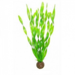 Sf Easy Plants Hoog 30 Cm Nr. 14 Zijde