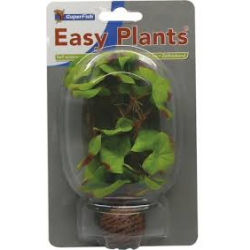 Sf Easy Plants Voorgrond 13 Cm Nr. 2 Zijde