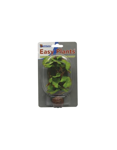Sf Easy Plants Voorgrond 13 Cm Nr. 4 Zijde
