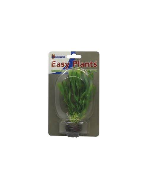 Sf Easy Plants Voorgrond 13 Cm Nr. 8