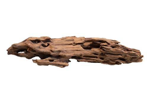 Superfish Honeycomb wood large