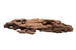 Superfish Honeycomb wood large