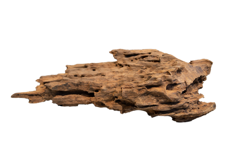 Superfish Honeycomb wood medium