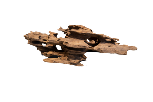 Superfish Honeycomb wood small