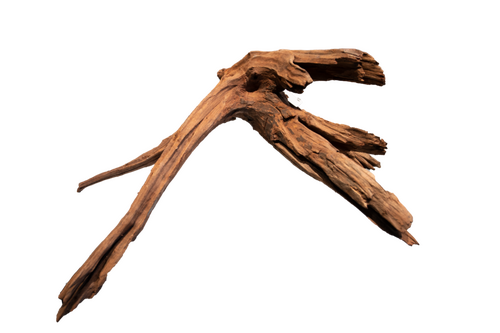 Superfish Mangrove aged wood large