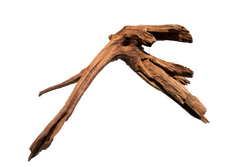 Superfish Mangrove aged wood large