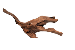 Superfish Mangrove aged wood medium