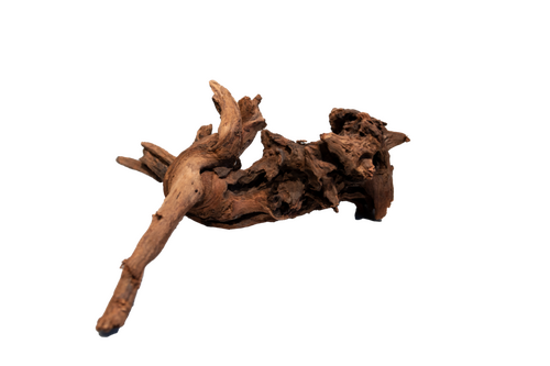 Superfish Mangrove aged wood small