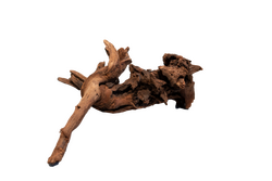 Superfish Mangrove aged wood small