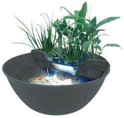 SUperfish Mini pond grijs